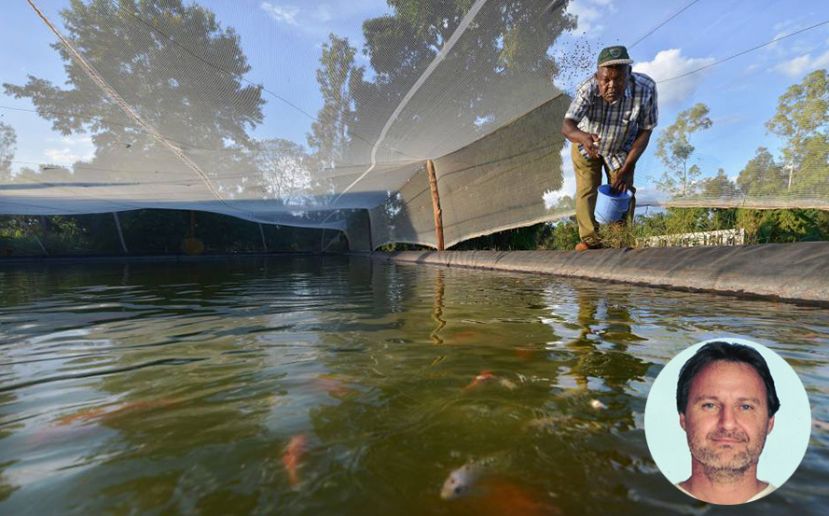 Lionel Dabbadie, investigador en acuicultura en el CIRAD