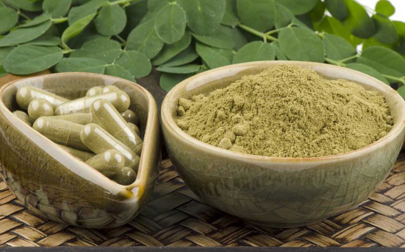 La Moringa, una promesa de negocio con múltiples beneficios