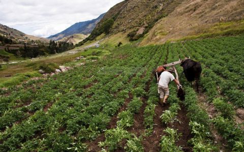 La población rural podría aprovechar el crecimiento del e-commerce en Venezuela