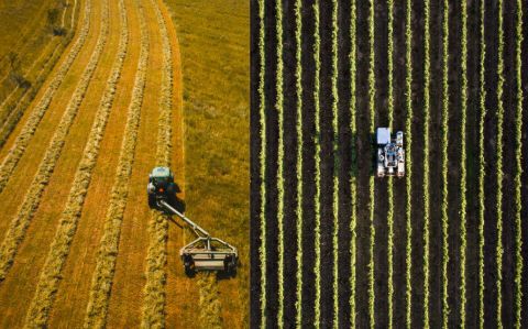 ¿Podría ser la agricultura familiar una solución a la crisis alimentaria?