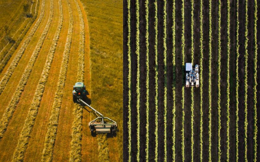 ¿Podría ser la agricultura familiar una solución a la crisis alimentaria?