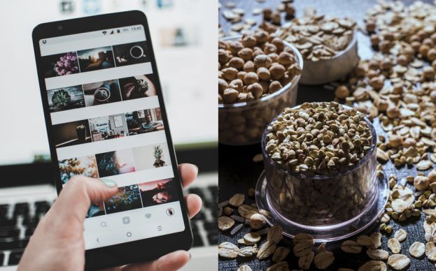 Aseguran que la avena es el &ldquo;nuevo negocio&rdquo; del mercado Fitness