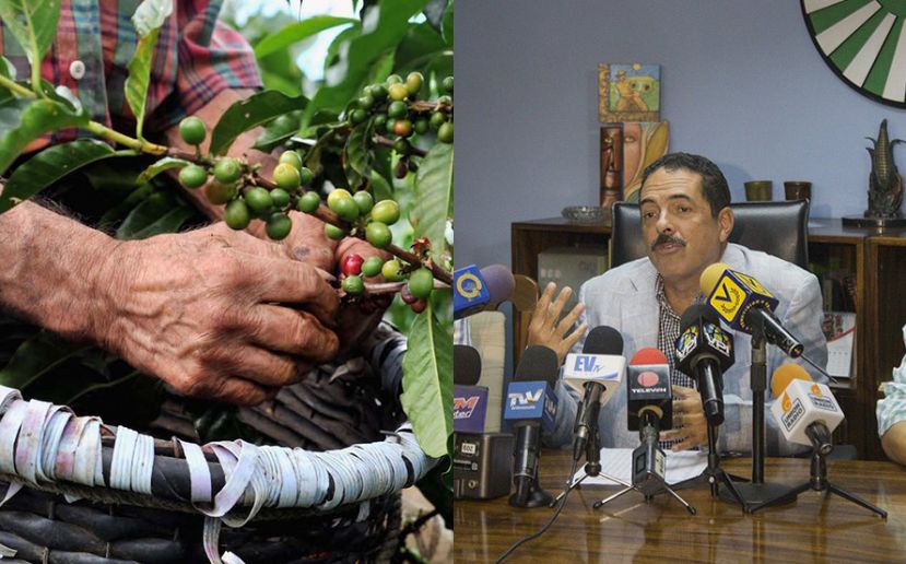 Representantes del sector cafetalero de Fedeagro y Abicaf