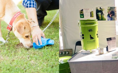 Los desechos animales se convierten en una oportunidad de negocios